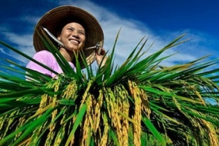 Khoác áo mới cho tín dụng nông nghiệp 