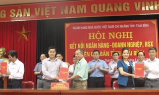 7 ngân hàng cam kết cho 11 doanh nghiệp, hộ dân vay hơn 400 tỷ đồng