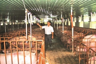 Agribank tiếp tục dẫn đầu cho vay tam nông