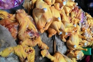 Phát hiện người chăn nuôi cho gà ăn chất tạo màu gây ung thư