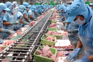 23 nhà máy cá tra đủ điều kiện xuất hàng vào Mỹ