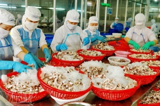 Vi phạm an toàn thực phẩm, hai doanh nghiệp chế biến thủy sản bị xử phạt hành chính