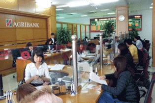Hiện thực ước mơ với chương trình vay vốn lãi suất cạnh tranh của Agribank