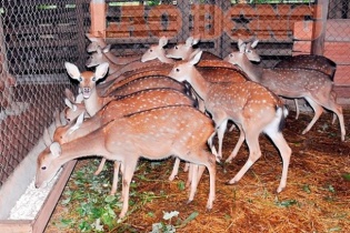 Công bố 63 nông dân Việt Nam xuất sắc năm 2018