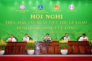 Agribank cam kết đáp ứng đủ vốn cho sản xuất, chế biến, tiêu thụ lúa gạo