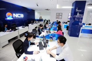 NCB: Nhiều điểm sáng tăng trưởng trong quý II/2019