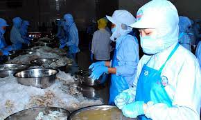 Cài đặt VssID, 20 công nhân phát hiện bị doanh nghiệp “ngâm” tiền đóng BHXH  