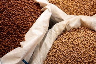 Tập đoàn Sao Mai chốt danh sách ngày 29/9 lấy ý kiến chia cổ tức 30%  