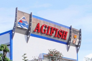 Nợ đầm đìa, âm vốn chủ sở hữu, Agifish bị nghi ngờ khả năng hoạt động liên tục