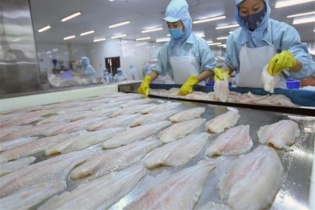 Thủy sản Cần Thơ: Lỗ nặng quý III/2021 vì cước tàu biển, nợ khó đòi tăng gấp đôi