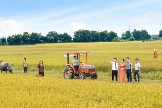 LienVietPostBank: Cho vay nông nghiệp là ưu tiên hàng đầu   