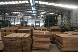 Cổ phiếu trần - sàn chóng mặt, lãnh đạo Sao Thái Dương trần tình