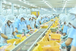 Nam Việt: Lãi quý I/2022 tăng gấp 3 lần, lấn sân sang bất động sản