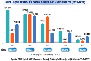 54 doanh nghiệp chậm thanh toán gốc, lãi trái phiếu: Gọi tên doanh nghiệp bất động sản, điện mặt trời 