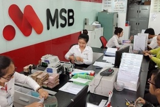 MSB tài trợ tới 95% nhu cầu vốn cho khách hàng vay phát triển nông nghiệp