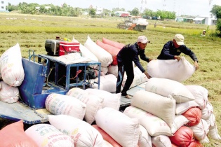 Đề nghị ngân hàng nới hạn mức, thời hạn cho vay với doanh nghiệp xuất khẩu gạo 