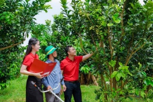 Agribank tích cực hỗ trợ hộ kinh doanh chuyển đổi thành doanh nghiệp