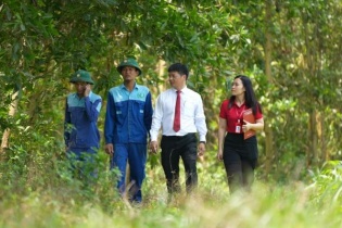 Ngân hàng muốn làm cầu nối chiến lược đưa tín chỉ carbon Việt Nam ra thị trường quốc tế