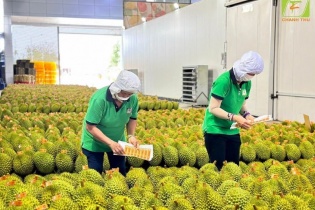 Nâng quy mô cho vay Chương trình tín dụng cho nông, lâm, thủy sản lên mức 185.000 tỷ đồng