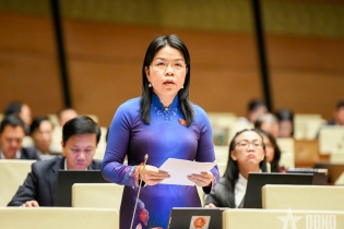 Quy định nguyên tắc để đảm bảo cơ chế xử lý mâu thuẫn giữa các loại quy hoạch