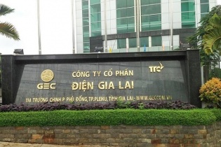 Điện Gia Lai: Tăng vốn lên 3.614 tỷ đồng, mở rộng sang điện rác, điện trấu, điện sinh khối