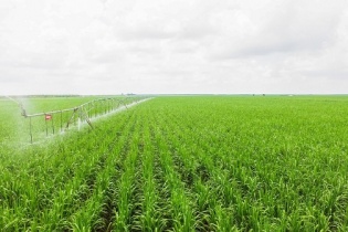 TTC Sugar mua lại doanh nghiệp đường Ấn Độ ở Campuchia