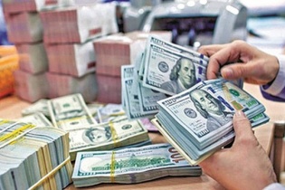 Tỷ giá biến động ra sao trong năm 2024?