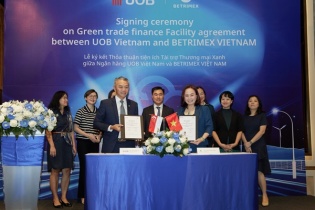 Thúc đẩy sản xuất dừa bền vững từ nguồn vốn xanh