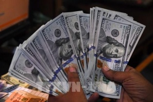 Chuyên gia dự báo Fed sẽ cắt giảm lãi suất USD hai lần cuối năm 2024