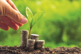 90% doanh nghiệp Việt chưa sẵn sàng chuyển đổi xanh