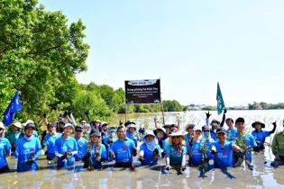 UOB Việt Nam khởi động trồng 10.000 cây rừng phòng hộ đê biển tại Cà Mau