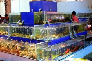 Bộ Tài chính: Có hộ kinh doanh đạt doanh thu lên đến 560 tỷ đồng/năm