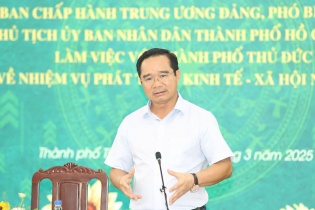 Chủ tịch UBND TP.HCM làm tổ trưởng tổ công tác đặc biệt giải quyết dự án tồn đọng