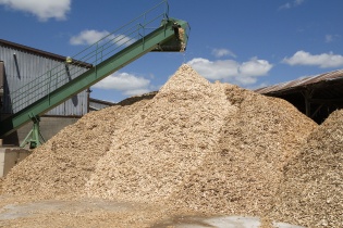 Đề xuất bãi bỏ thuế xuất khẩu dăm gỗ để hỗ trợ doanh nghiệp