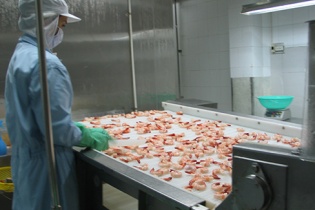 VASEP tiếp tục đề nghị không kiểm dịch với sản phẩm thủy sản chế biến