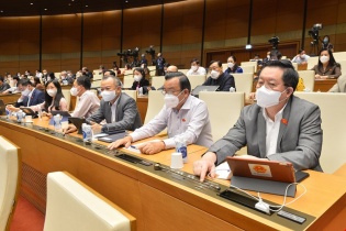 Chính thức được xét xử sơ thẩm, phúc thẩm trực tuyến