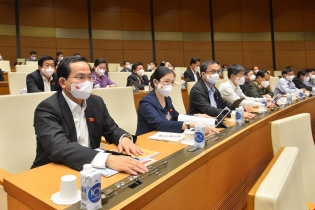 Bổ sung cơ cấu, diện tích từng loại đất vào danh mục chỉ tiêu thống kê quốc gia