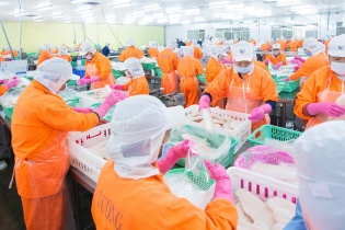 Cổ phiếu ANV bất ngờ bật trần, Chủ tịch HĐQT đăng ký bán gần hết cổ phiếu