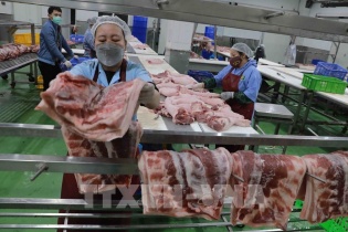 CPI 9 tháng được kiểm soát tốt nhờ lợi thế chủ động về lương thực, EVN chưa tăng giá điện