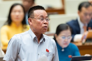 Cần có chính sách đẩy mạnh vai trò dẫn dắt của doanh nghiệp lớn