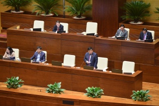 Dự thảo Luật Đấu thầu: Thông thoáng cho chủ đầu tư khi thực hiện, nhưng không để trục lợi