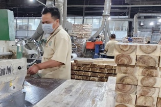 Kiến nghị không để các bộ, ngành ban hành danh mục hàng hóa phải kiểm tra chuyên ngành