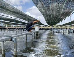 Doanh nghiệp thắc mắc vì cùng tính chất, nhiều loại phí, lệ phí không được giảm