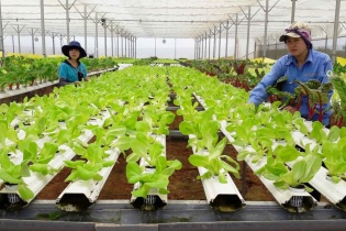 Tháng 9, doanh nghiệp thành lập mới tập trung ở các tỉnh Đông Nam Bộ