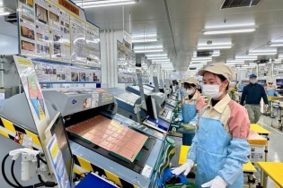 Tháng 12/2024 ghi nhận số doanh nghiệp trở lại thị trường tăng đáng kể