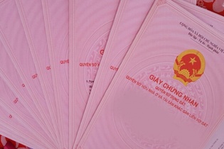 Lập văn phòng môi giới bất động sản, lừa bán đất cho nhiều người