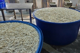Phát hiện hơn 13 tấn chân gà ngâm hóa chất tại Thanh Hóa