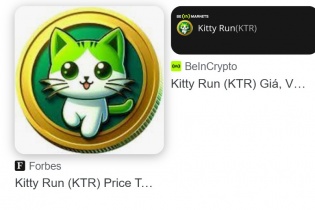 Đầu tư tiền ảo Kittyrun, hàng ngàn nhà đầu tư “nạp” 490 tỷ đồng tiền thật
