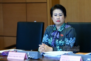 Bắt cựu Phó bí thư Tỉnh ủy Đồng Nai Phan Thị Mỹ Thanh