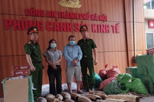 Bắt nhiều đối tượng trong đường dây buôn lậu ngà voi, thuốc lá lậu